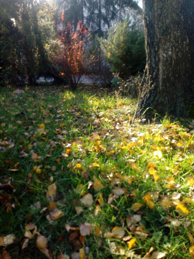 Roztoczanski Dworek Zamość エクステリア 写真